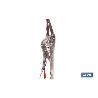 TENAZA GRIP BOCAS LARGAS 6.1/2