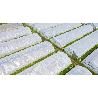 PLASTICO TRANSPARENTE 2 M GALGA 600