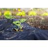 PLASTICO NEGRO 12 M GALGA 600