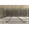 CAJA 50 ANCL-CLAVO FNA II 6×30/30 44116 FISCHER