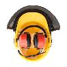 PANTALLA , CASCO Y AURICULARES  PROTECCION FORESTAL