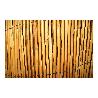 BAMBU PELADO 1,5X5M.