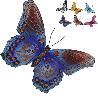MARIPOSA METAL 44X31 CM SURTIDA