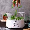 COCINA AL VAPOR ELECTRICA CV200