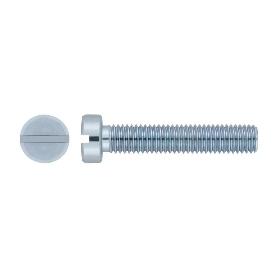 TORNILLO ZINCADO CABEZA CILINDRICA DIN 84 3X25