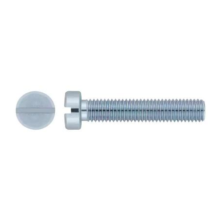 TORNILLO ZINCADO CABEZA CILINDRICA DIN 84 6X20