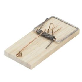 TRAMPA RATONES MADERA 231570 2 UD