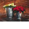 CUBO CHAPA GALVANIZADA 5L CON ABRIDOR ESPECIAL PARA BOTELLINES DE CERVEZA