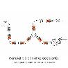 CONECTOR MANGUERA SOFT-TOUCH 1/2