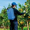 MOCHILA PULVERIZAR EVOLUTION 16 L
