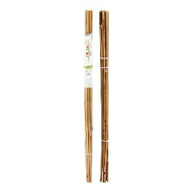 TUTORES BAMBU 150 CM
