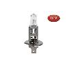 LÁMPARA HALÓGENA COFAN H1 (P14,5S) 12V 55W