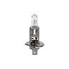 LÁMPARA HALÓGENA COFAN H1 (P14,5S) 12V 55W