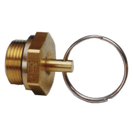 GRIFO PURGA 22 X 1,5