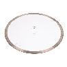 DISCO PORCELANICO MAQUINAS DE MESA 250MM - H25,4