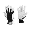 BLISTER G. VACUNO DORSO TELA + VELCRO T-9   CAJA 12 UNID.