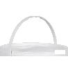 PINTURA PLASTICA ANTIBACTERIAS IONES PLATA 12 L