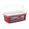 PINTURA PLÁSTICA MONOCAPA ROJO DIABLO (2,5 LT)