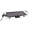 PLANCHA DE ASAR ELECTRICA 2000W 45 X 25 X 7 CM
