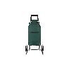 CARRO DE LA COMPRA VERDE PLEGABLE DE HIERRO CON 6 RUEDAS SUBE ESCALERAS 42 L