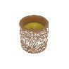VELA AROMÁTICA DE CITRONELA MACETA DECORADA  170 G