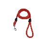 PACK DE ACCESORIOS DE PERROS, CORREA EXTENSIBLE PERROS Y PEINE DOBLE CARA MASCOTAS