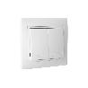 DOBLE INTERRUPTOR-CONMUTADOR EMPOTRAR MODELO PACIFIC (BL)