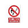 SEÑAL POLIESTIRENO 210X148MM. PROHIBIDO FUMAR Y ENCENDER FUEGO
