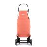 CARRO COMPRA SAQUET LN 4 RUEDAS CORAL