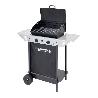 BARBACOA GAS XPERT 100 L