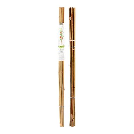 TUTORES BAMBU 150 CM